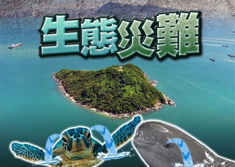 填海壞處|《逢島必輸？從世界爛島預示「明日大嶼」》報告